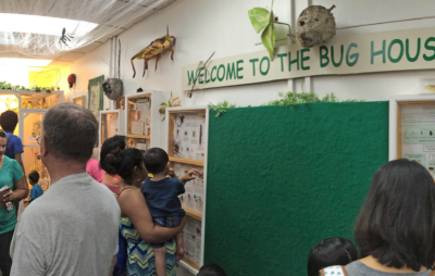 room with families in it - Welcome to the Bug House is written in green on the wall